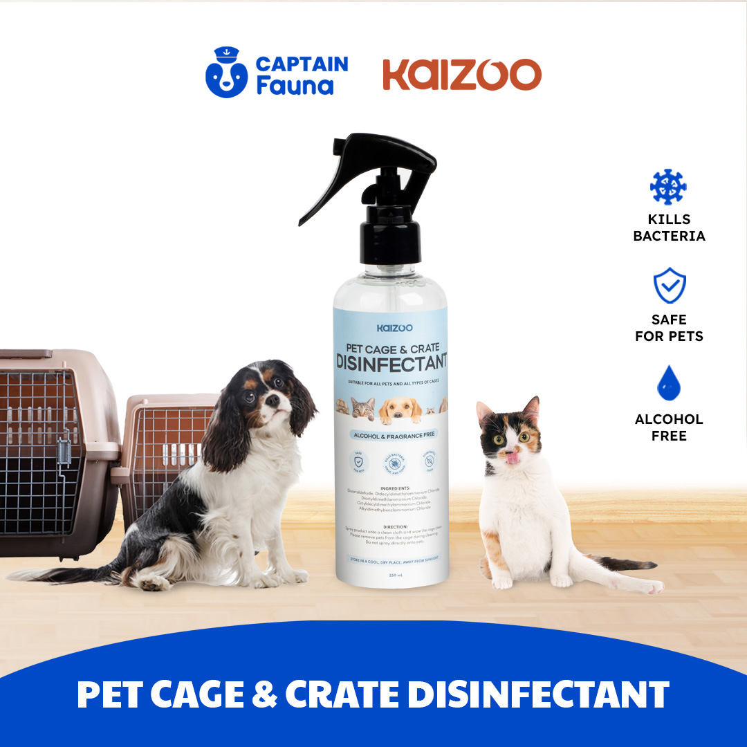 Pet Disinfectant Alcohol Free 